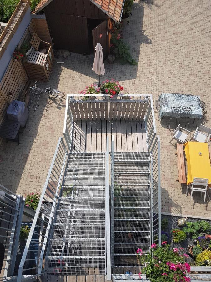 Au Gre De L'Ill "Les Toits D'Horbourg" Daire Dış mekan fotoğraf